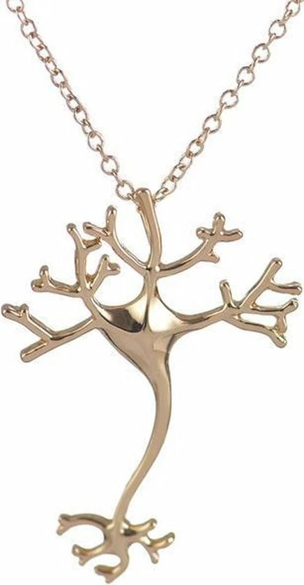 Beste Verkoop π€© Amodi 24/7 Jewelry Collection Neuron Ketting - Zenuwcel - Hersenen - Dokter - Goudkleurig π 3 Beste Verkoop π€© Amodi 24/7 Jewelry Collection Neuron Ketting - Zenuwcel - Hersenen - Dokter - Goudkleurig π