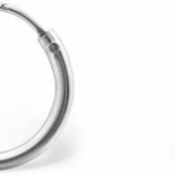 Kopen ✨ Lazy Cat Zilveren Oorringen - Ronde Buis - Oorbellen Zilver - Ø20mm 🛒