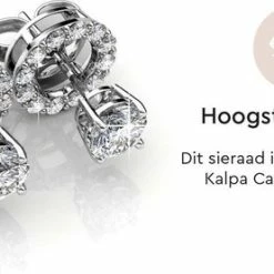 Beste Pirce π₯° Yolora Dames Oorbellen Met Ronde Kalpa Camaka Kristallen - Zilver Kleurig - 18K Witgoud Verguld - Oorknoppen π 15 Beste Pirce π₯° Yolora Dames Oorbellen Met Ronde Kalpa Camaka Kristallen - Zilver Kleurig - 18K Witgoud Verguld - Oorknoppen π -Sieraden-horloges Verkoop 550x277