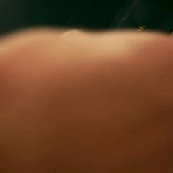 Hete verkoop 🧨 Laura Ferini Dames Ketting Facile Goud - Goudkleurige Schakelketting Met Plaatje - 18K Geelgoud Verguld - Halsketting - Collier - Sieraad - Accessoires - Dames Ketting Met Hanger ❤️ -Sieraden-horloges Verkoop 550x309 1