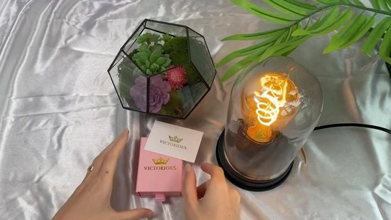 Uitgang ๐ Victorious Set Dames Ketting En Oorbellen – Blauw Bergkristal – Zilver – 45cm ๐ 4 Uitgang ๐ Victorious Set Dames Ketting En Oorbellen – Blauw Bergkristal – Zilver – 45cm ๐ - Afbeelding 2