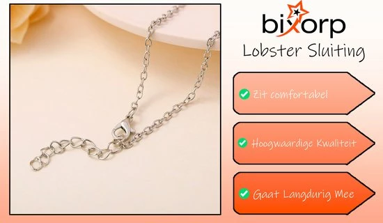Groothandel โ๏ธ Bixorp Friends BFF Ketting Voor 2 Met Blauw & Roze Hartje Zilverkleurig - Vriendschapsketting - Twee Helften Best Friends - Voor Meisjes - Best Friends Ketting Vriendschap Cadeau Voor Twee ๐ 10 Groothandel โ๏ธ Bixorp Friends BFF Ketting Voor 2 Met Blauw & Roze Hartje Zilverkleurig - Vriendschapsketting - Twee Helften Best Friends - Voor Meisjes - Best Friends Ketting Vriendschap Cadeau Voor Twee ๐ - Afbeelding 8