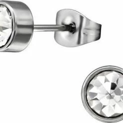 Groothandel 🤩 Aramat Jewels ® - Stalen Oorknopjes Zweerknopjes Zilverkleurig Transparant 4mm Unisex 🤩 -Sieraden-horloges Verkoop 550x437 2