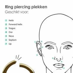 Begroting 🧨 MATTISE Gouden Chirurgisch Stalen Ring Piercing — Goud Kleurige — 12 Mm Diameter & 1,2 Mm Staafdikte — Oorbellen Ringetje Geschikt Voor Helix Tragus Septum Lip Neus Wenkbrauw Piercings ✨ -Sieraden-horloges Verkoop 550x550 568