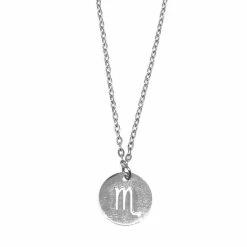 Flash-uitverkoop ✨ Boho Bijoux Sterrenbeeld Ketting Coin - Schorpioen - Zilver ✨