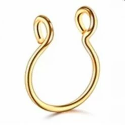 Gloednieuw 👍 Fake-Neusklem-Goudkleurig-Geen Gaatje-Metaal-Neus Piercing-Charme Bijoux 🥰