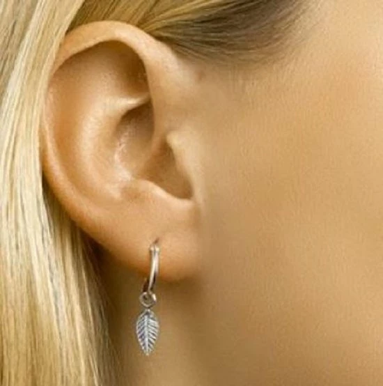 Promo 𧨠Jonline Schitterende Zilveren Oorringen Met Veer β 4 Promo 𧨠Jonline Schitterende Zilveren Oorringen Met Veer β - Afbeelding 2