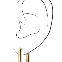 Beste Verkoop π Traveller Oorringen - Edelstaal - Goudkleurig - 181131 β€οΈ 8 Beste Verkoop π Traveller Oorringen - Edelstaal - Goudkleurig - 181131 β€οΈ -Sieraden-horloges Verkoop 550x755